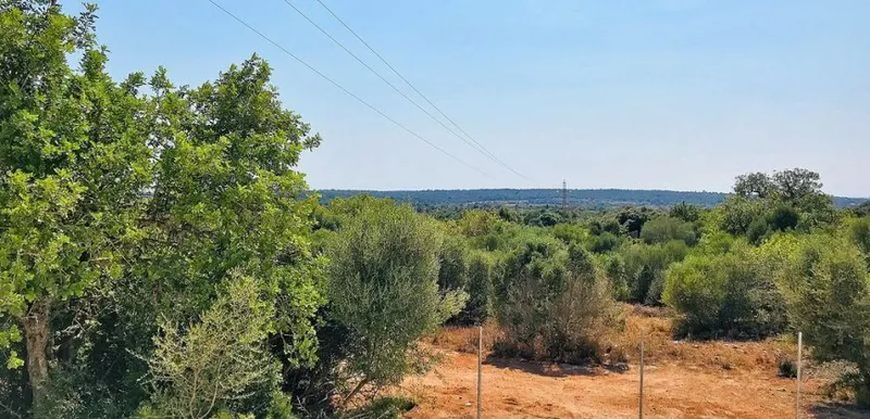 Country house for rent near Santanyí, southeast Mallorca — photo 2