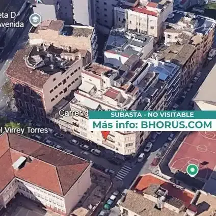 More info on web and social media: BHORUS — photo 4