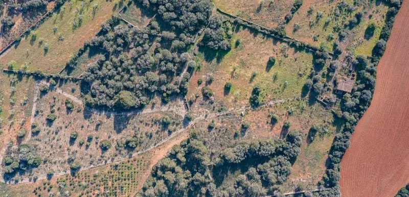 Rustic estate near Cala Pí — 136,400 m², Llucmajor area, 10 min from the coast — photo 5