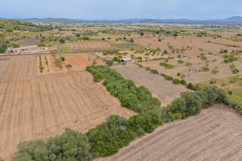 Land in Porreres, Mallorca — photo 7