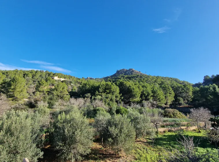 Ref.4205T – Andratx – Village house with views of the Sierra de Tramuntana — photo 4