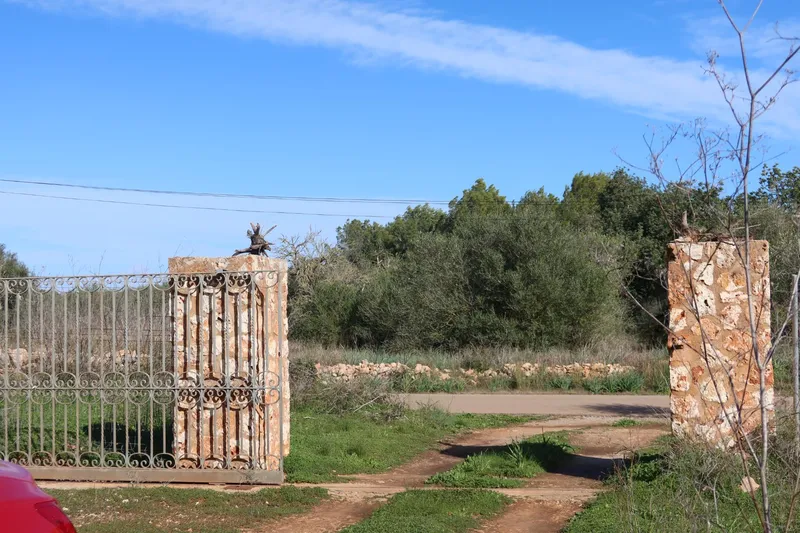 Buildable plot with great privacy in Campos – 14,625 m² — photo 2