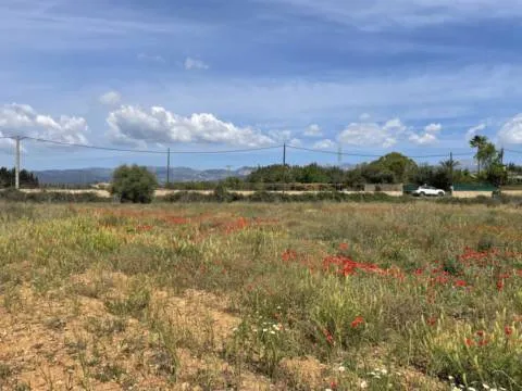 Plot — photo 4
