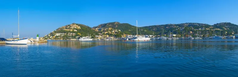 Mallorca Next Properties - Plot with panoramic views of Port Andratx — photo 2
