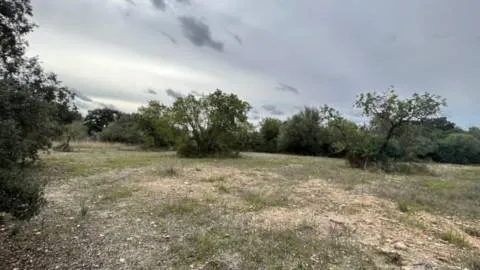 Plot — photo 4