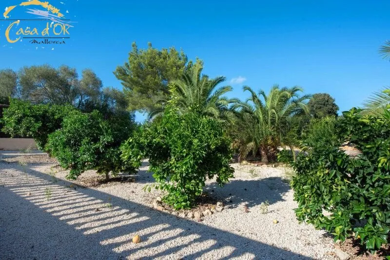 Stylish Finca in Port Verd near Son Servera — photo 10
