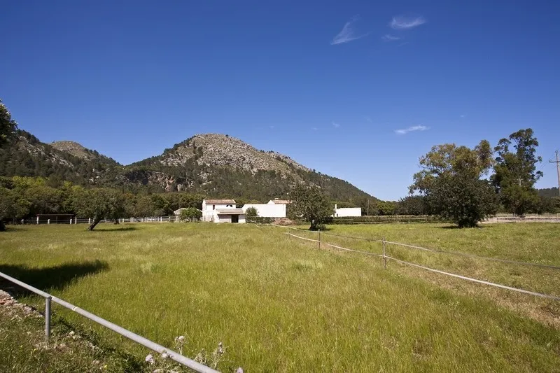 Magnificent exclusive property for sale in Pollensa set in Vall den March — photo 5