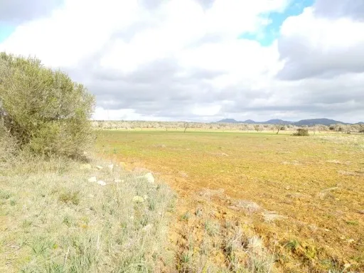 Large plot with beautiful countryside views Rustic Land — photo 1