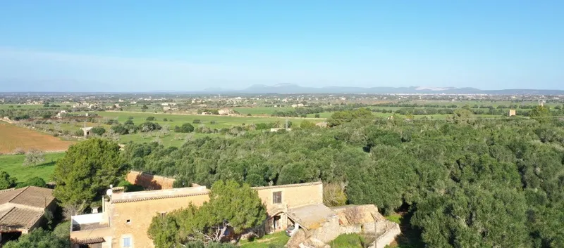 Big finca near Campos with many possibilities — photo 7