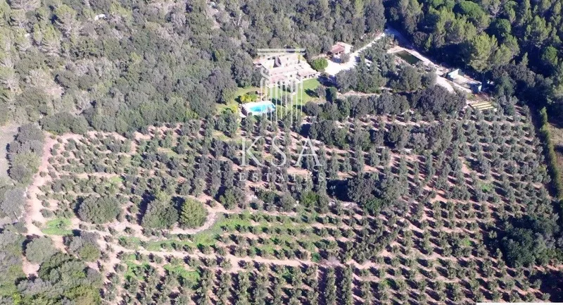 Rustic Finca — photo 2