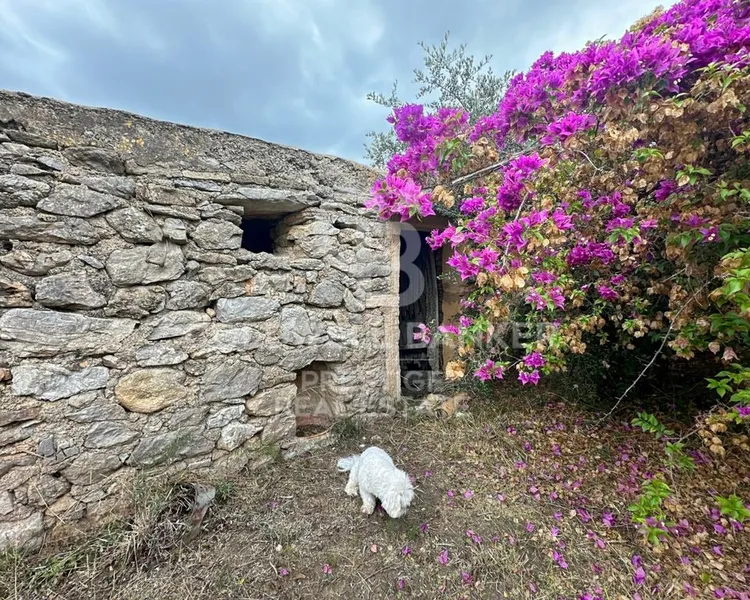Villa in Artà, Province of Balearic Islands — photo 3