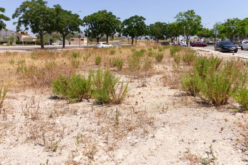 Urban plot for commercial use in Sa Pobla — photo 5