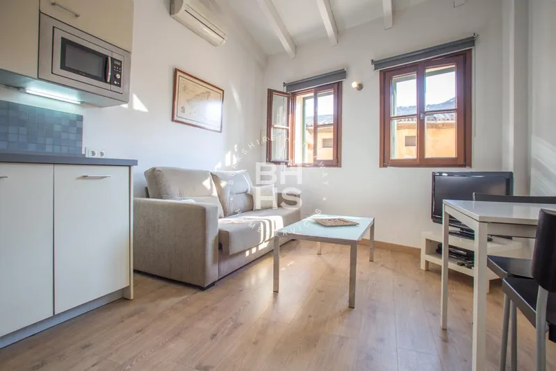 Apartment for sale in La Llotja — photo 3
