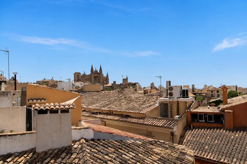Cozy apartment with charming location in the heart of Palma's old town — photo 5