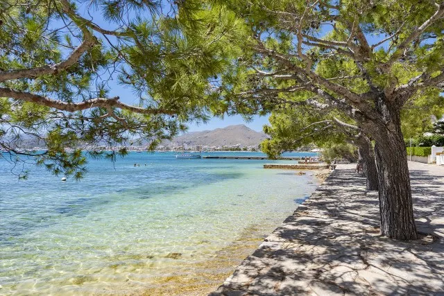 Unmissable sea view plot with project for sale in Puerto Pollensa, Mallorca — photo 11