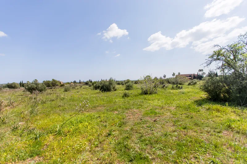 Plot with sea views 10 minutes from Porto Cristo — photo 6