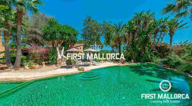 Real Estate Picture 0 Ref. No. 64016 — photo 7