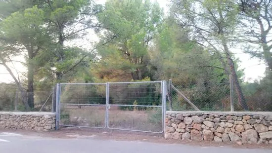 Finca in Mal Pas — photo 3