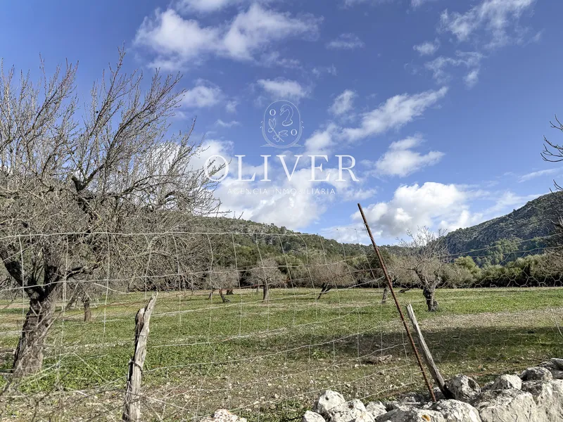 Wonderful rustic estate in Alaró — photo 11