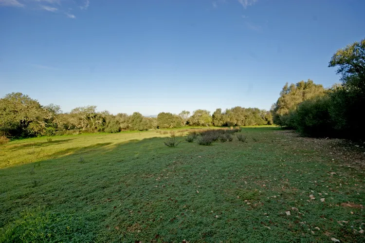 Rustic plot between Felanitx and Portocolom — T 28 VK CM — photo 4