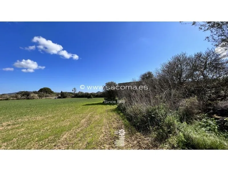 Land in Artà, Province of Balearic Islands — photo 7