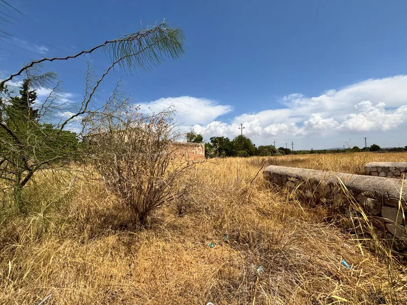 Buildable plot in Pla de na Tesa, Marratxí — photo 6