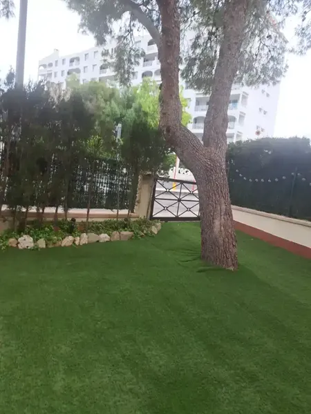 Preciosa vivienda en planta baja cerca de las mejores calas y playas de Mallorca — photo 9