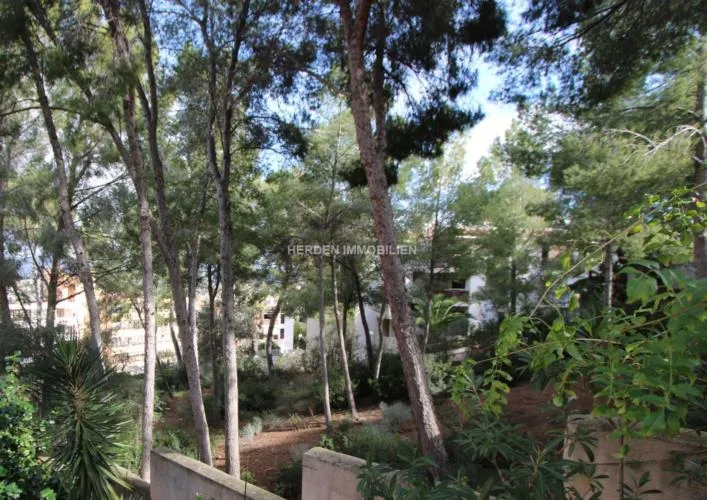 Building Plot for Sale in Santa Ponsa, Mallorca — photo 11