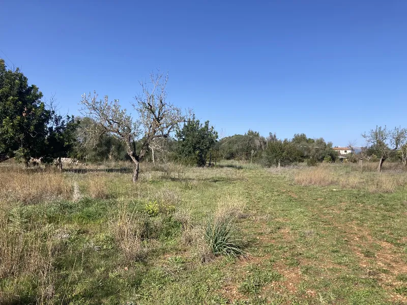 Beautiful piece of land with valid building license in Pollensa countryside — photo 1