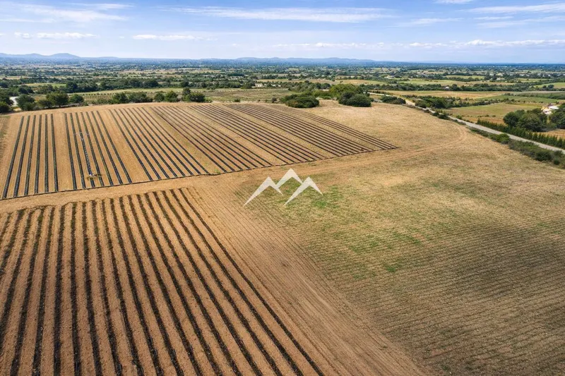 Large Rustic Estate with 172,000 m2 in Manacor — photo 8