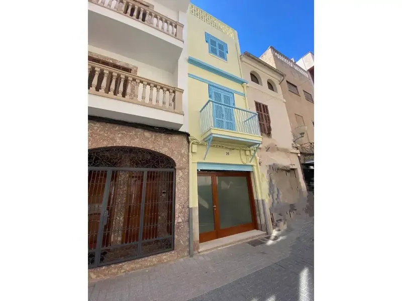 Total area 240 m², usable area 240 m², double bedrooms: 4, 3 bathrooms, condition: renovated — photo 1