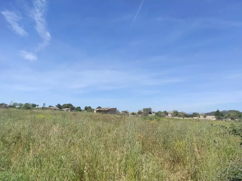 Fantastic Estate of 17,700m2 for Sale with Project for a 290m2 Single-Family Home in the Municipality of Sineu — photo 8