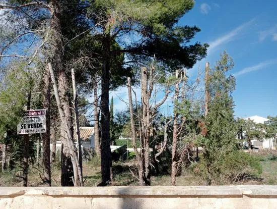 Fantastic plot in Bonaire of 953 m2, facing three streets — photo 6