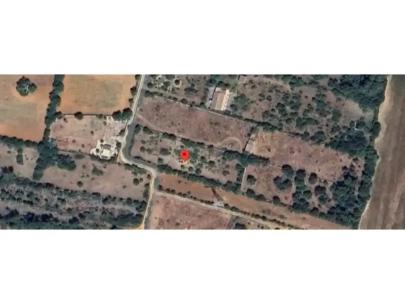 Rustic plot of 3,662 m² offered in the municipality of Llubí, in the heart of inland Mallorca. A tranquil — photo 1