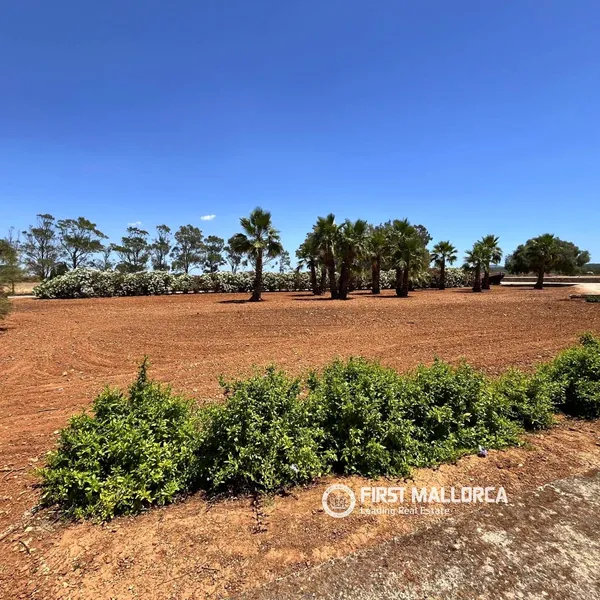 Finca/Country House for rent in Campos, Mallorca — photo 4