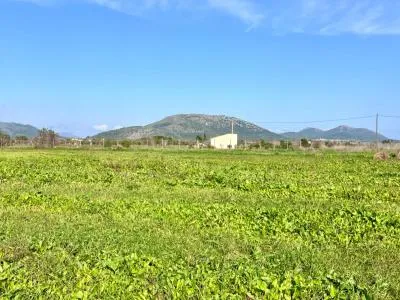 Rustic property - Sa Pobla (Pobla (Sa)), Built Surface 97m², Plot Surface 9153m², 1 Room — photo 11