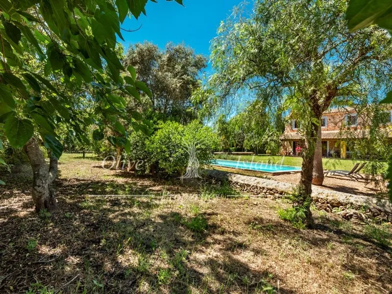 Cottage in Santa Maria del Camí, Province of Balearic Islands — photo 6