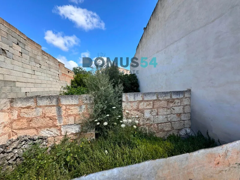 plot in Sa Pobla — photo 6