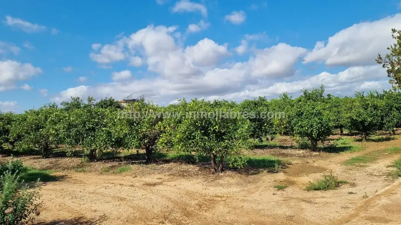 Discover this charming rustic retreat in Muro, in the heart of the Balearics — photo 12
