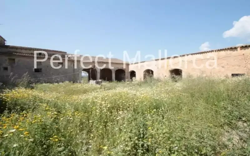 Majorcan country estate near Villafranca de Bonany — photo 3
