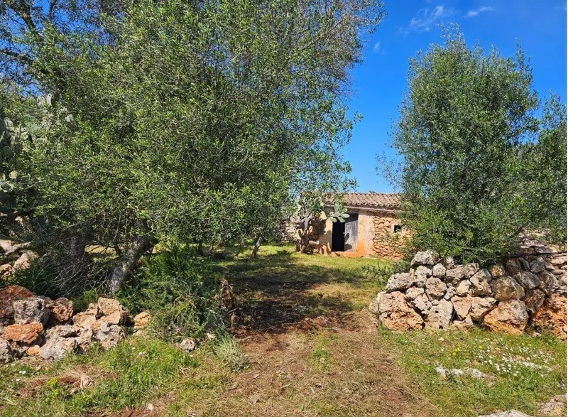 Rustic finca of 14,878 m² in Costitx with potential for project... — photo 5