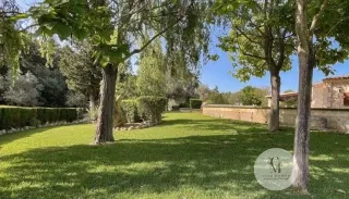 Charming Mallorcan Finca with ETV for Sale near Pollensa — photo 3