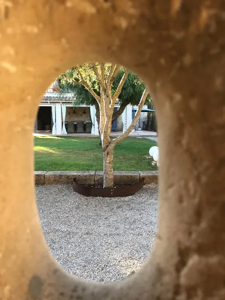 Unique art-inspired finca with independent guest house for sale in Santanyí — photo 5