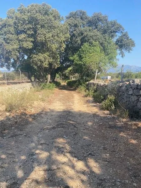 Flat plot near the Costitx roundabout (not buildable) — photo 6