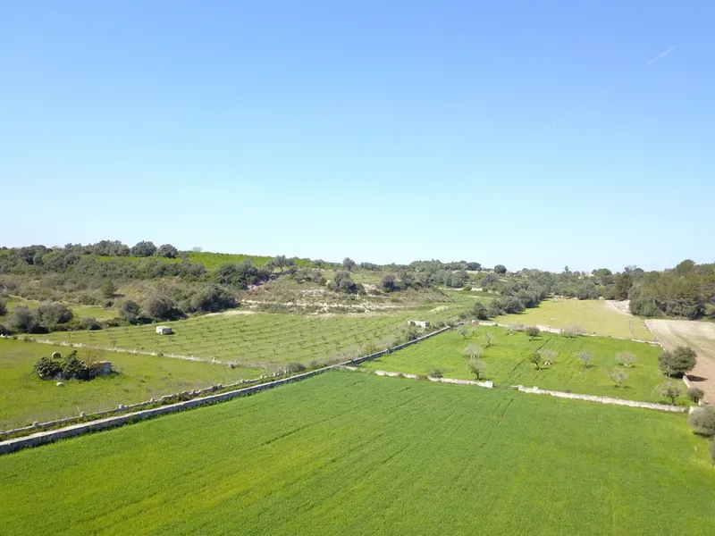 Land in Ariany, Mallorca — photo 1