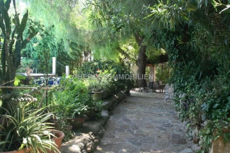 Charming Finca with Holiday Rental License (ETV) near Sa Pobla – Mallorca — photo 4