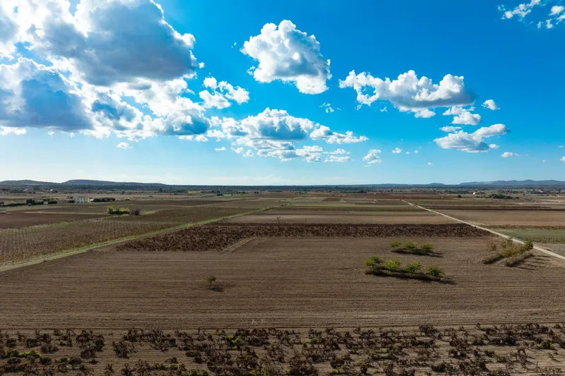 Mediterranean building plot with approved finca project and panoramic views near Manacor — photo 3