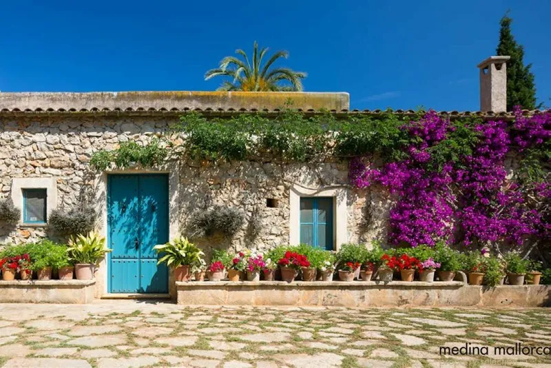 Beautiful finca with several buildings in Manacor — photo 8