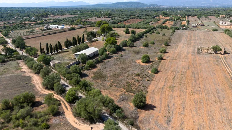 Rustic plot in Algaida — photo 2
