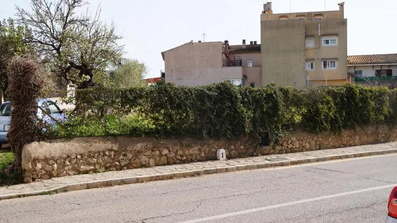 Land in Lloseta, Province of Balearic Islands — photo 2